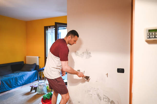 Best Office Mold Removal Services  in Centerville, PA