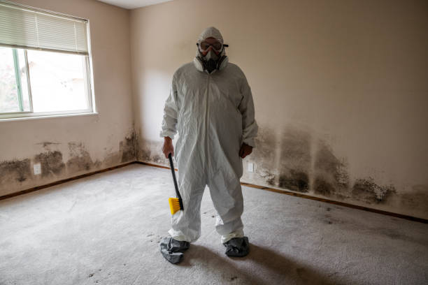 Best Mold Damage Repair  in Centerville, PA